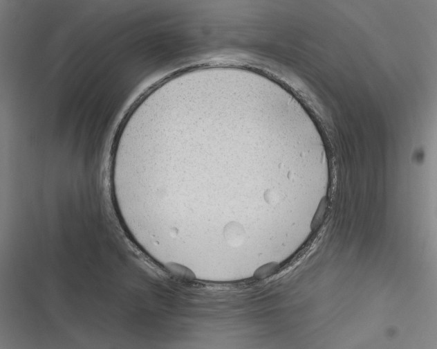 X0000116311232201001111131