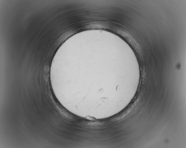 X0000116311233201001111131