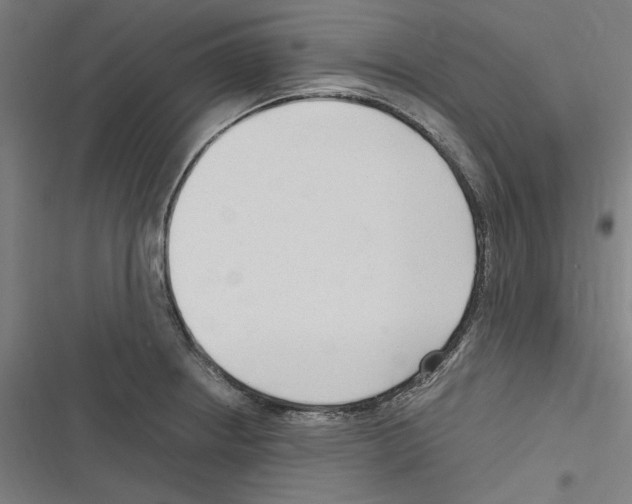 X0000116311234201001111131