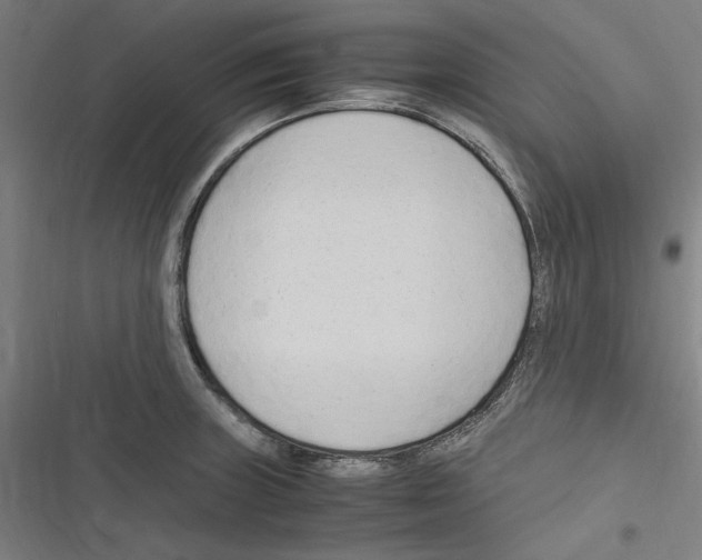 X0000116311235201001111131