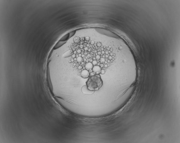 X0000116311236201001111131