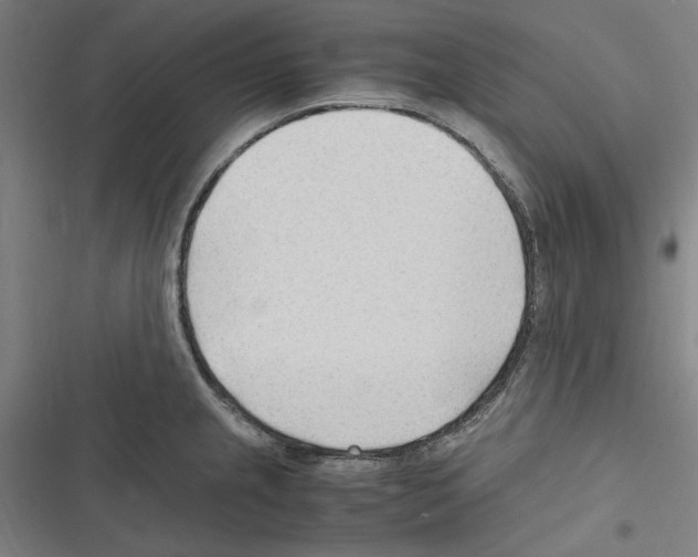 X0000116311237201001111131