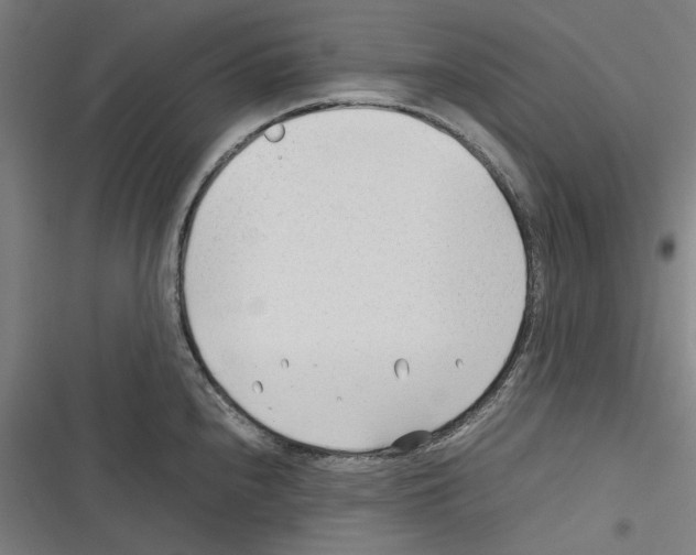 X0000116311240201001111131