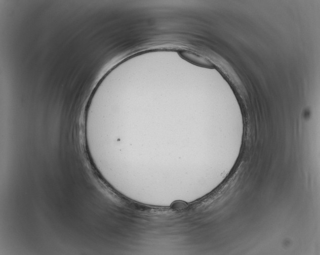 X0000116311242201001111132