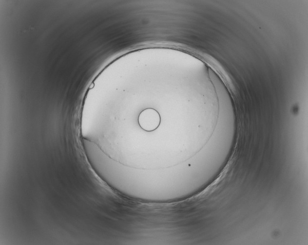 X0000116311244201001111132