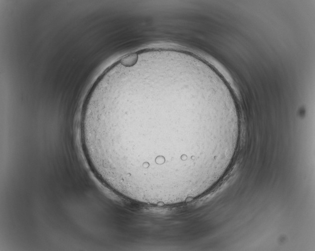 X0000116311245201001111132