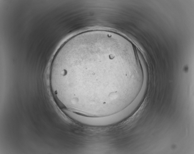 X0000116311246201001111132