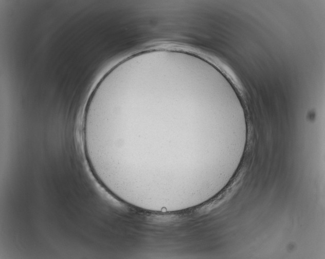 X0000116311247201001111132