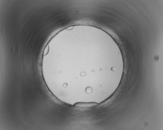 X0000116311248201001111132