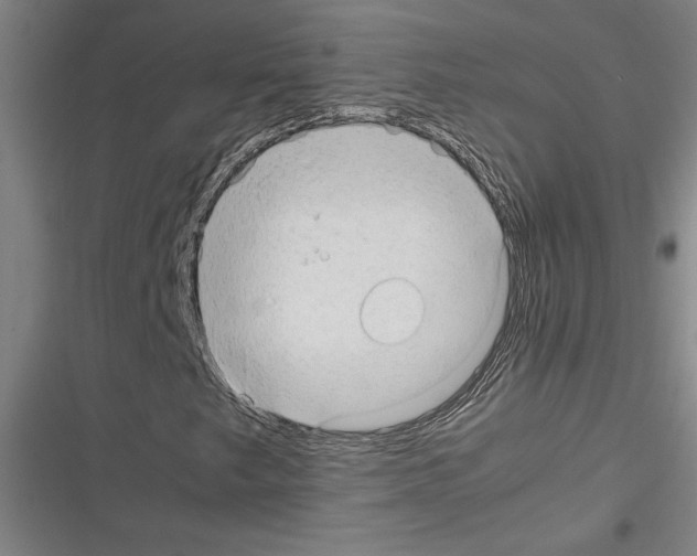 X0000116311249201001111131