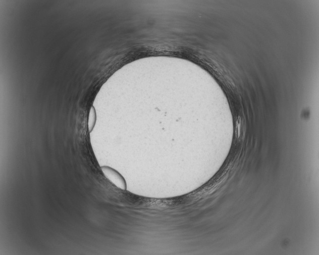 X0000116311251201001111131