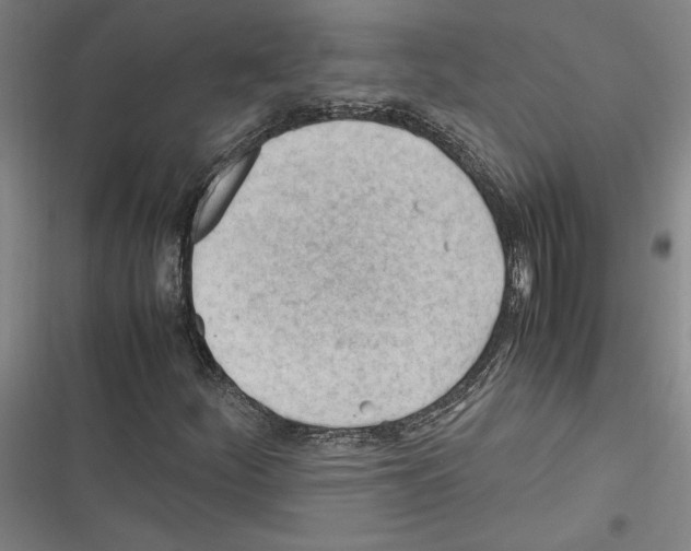 X0000116311252201001111131