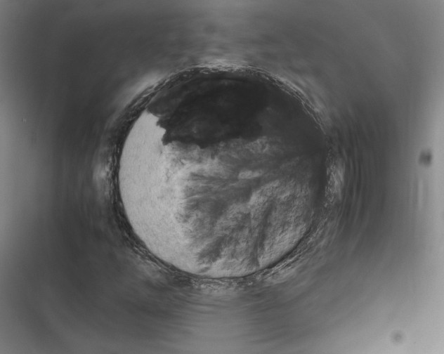 X0000116311254201001111131