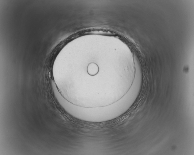 X0000116311255201001111131