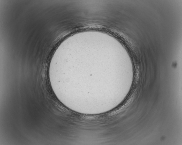 X0000116311257201001111131