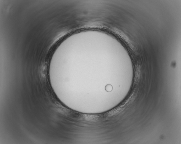 X0000116311258201001111131