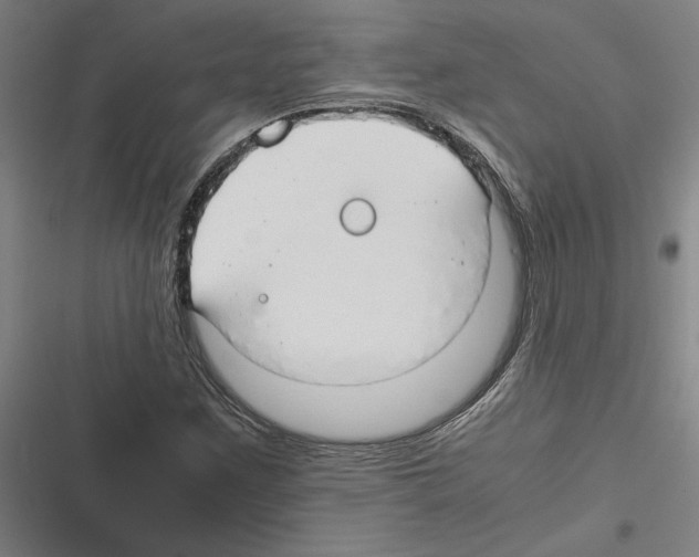 X0000116311259201001111131