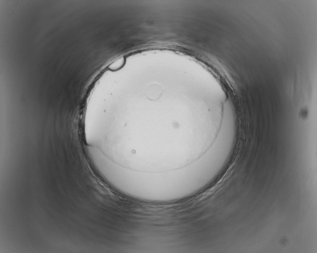 X0000116311260201001111131