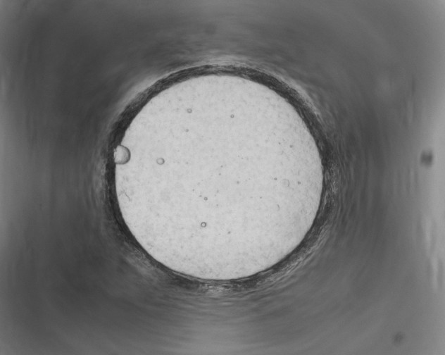 X0000116311263201001111131