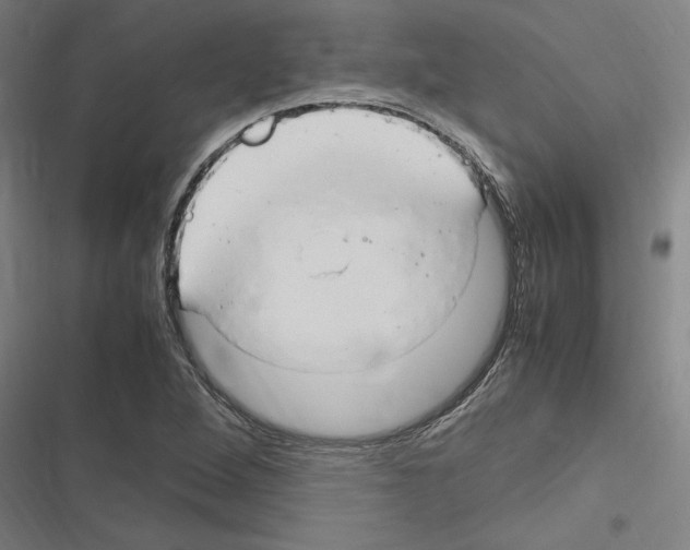 X0000116311264201001111131