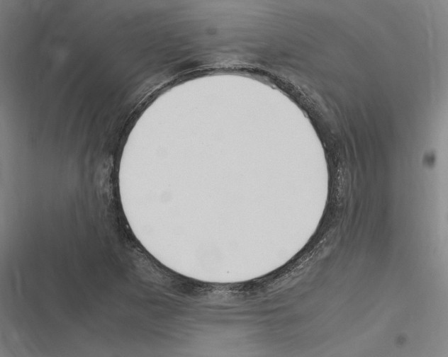 X0000116311265201001111131