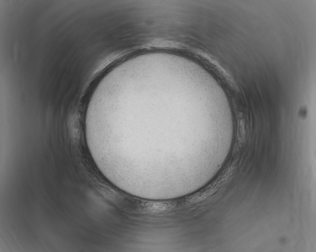 X0000116311266201001111131