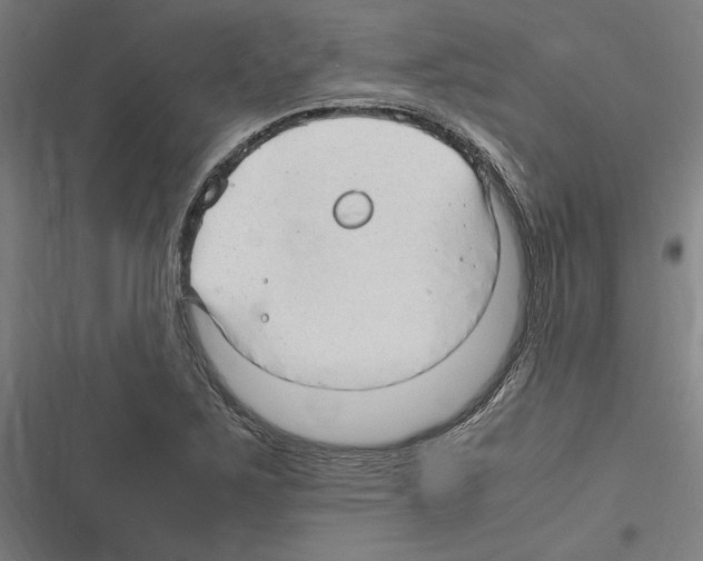 X0000116311267201001111131