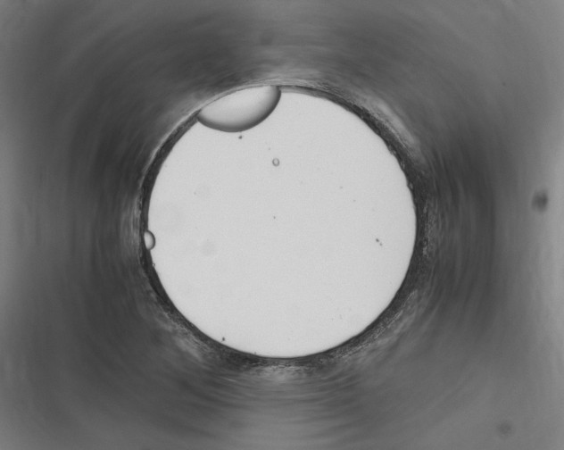 X0000116311268201001111131