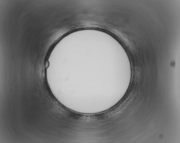 X0000116311269201001111131