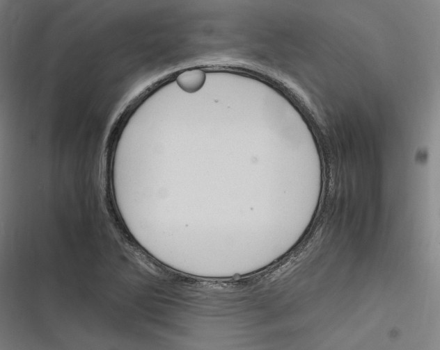 X0000116311270201001111131