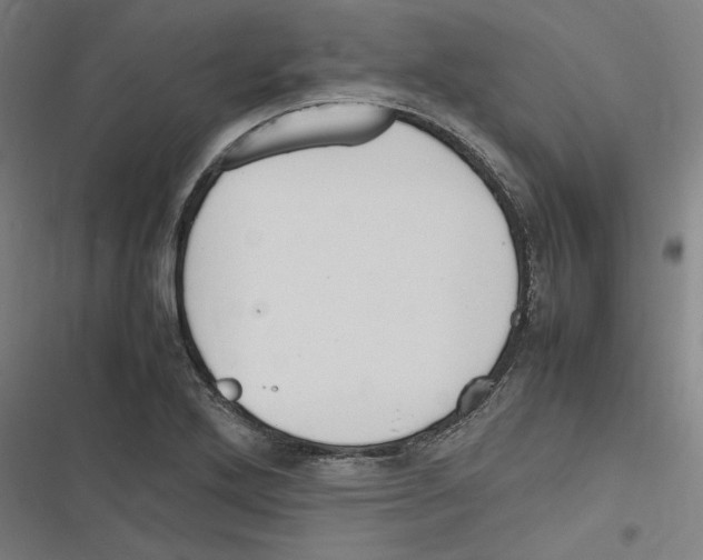 X0000116311272201001111131