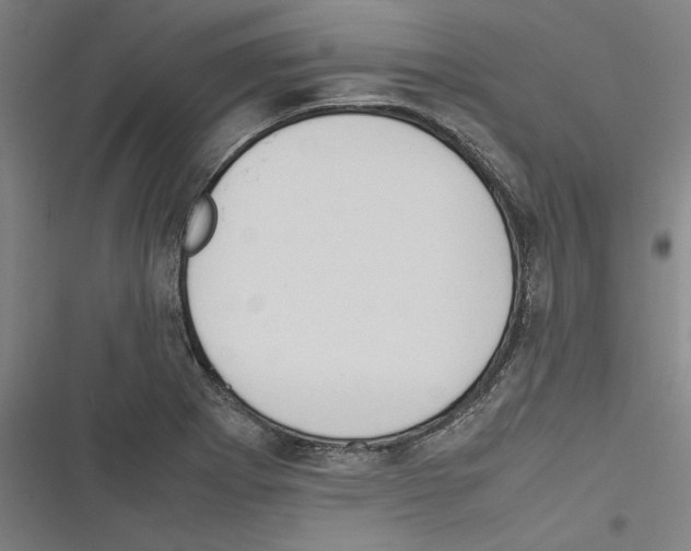 X0000116311273201001111131