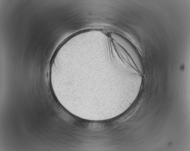 X0000116311275201001111131