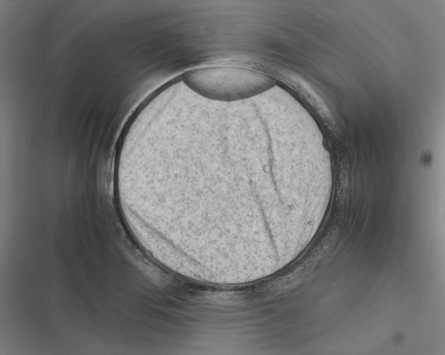 X0000116311276201001111131