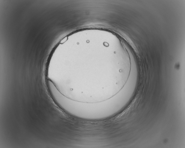 X0000116311277201001111131