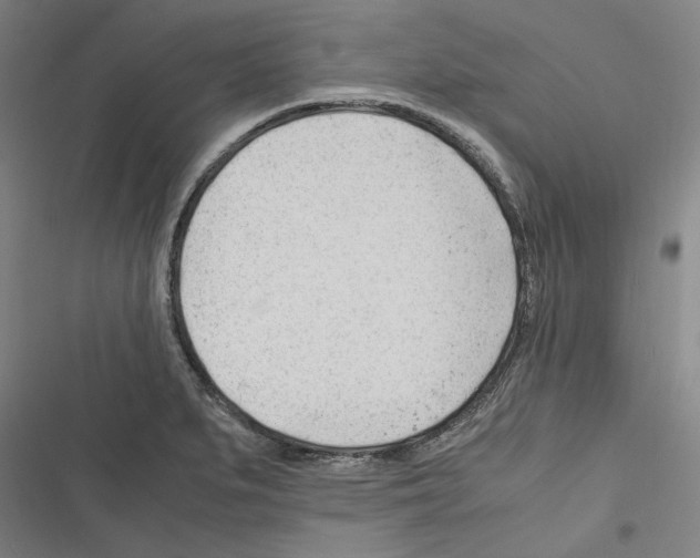 X0000116311279201001111131