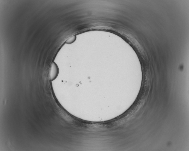 X0000116311281201001111131