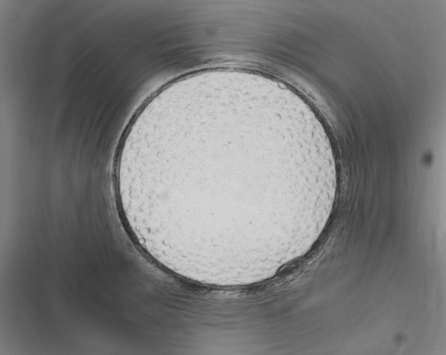 X0000116311283201001111130