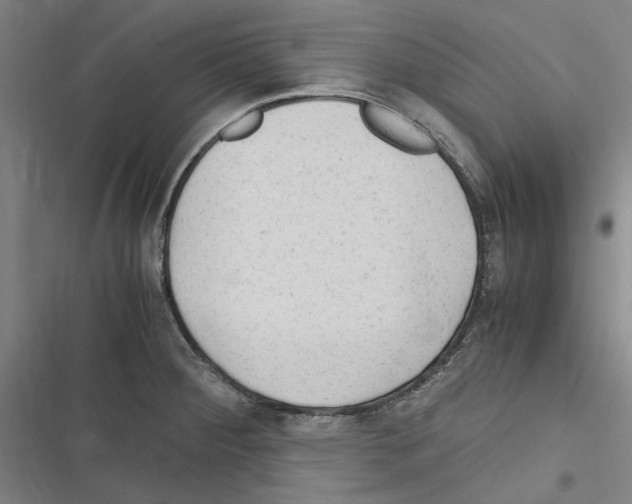 X0000116311284201001111130