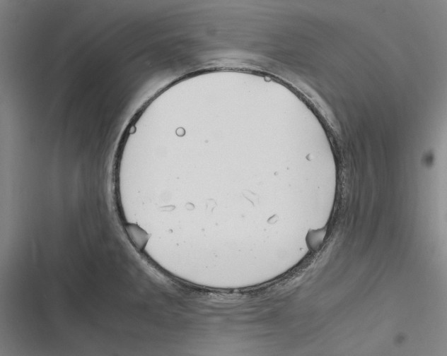 X0000116311285201001111130