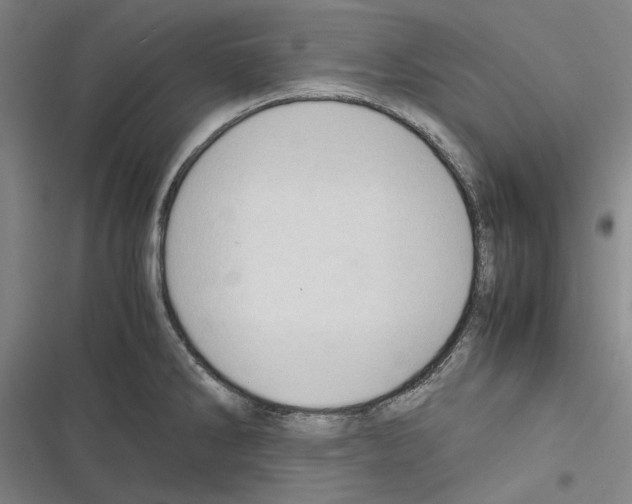 X0000116311286201001111130