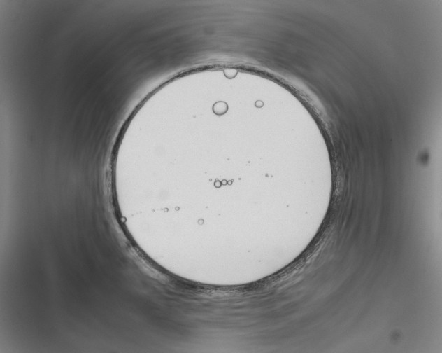 X0000116311287201001111130