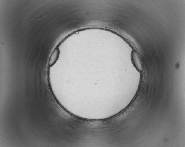 X0000116311288201001111130