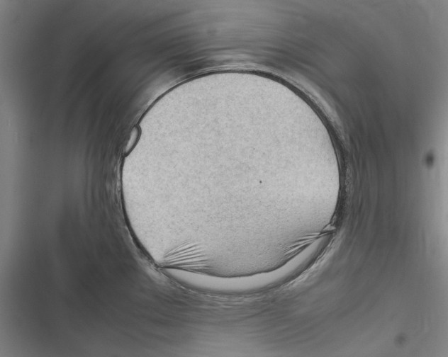 X0000116311289201001111130