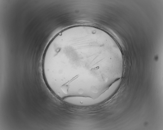 X0000116311291201001111130