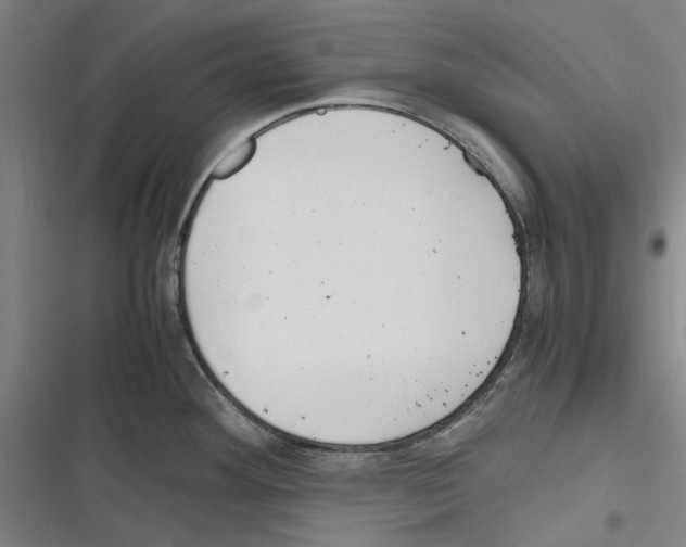 X0000116311292201001111130