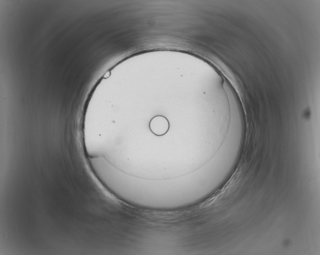 X0000116311293201001111130