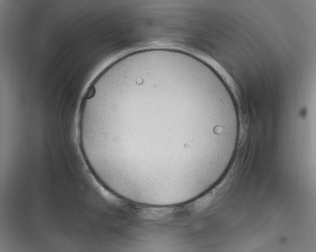 X0000116311294201001111130