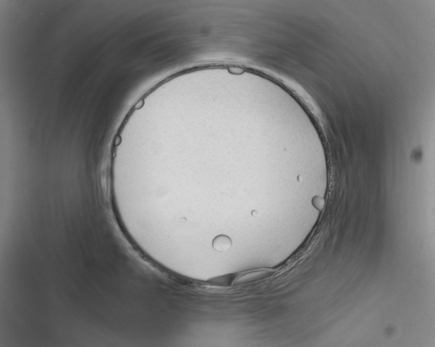 X0000116311295201001111130