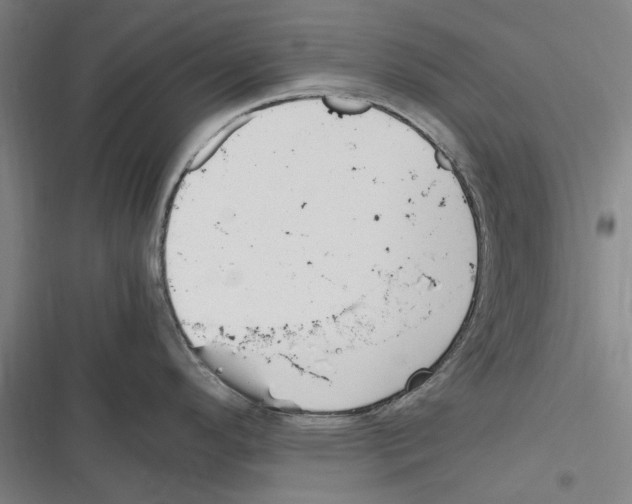 X0000116311296201001111130